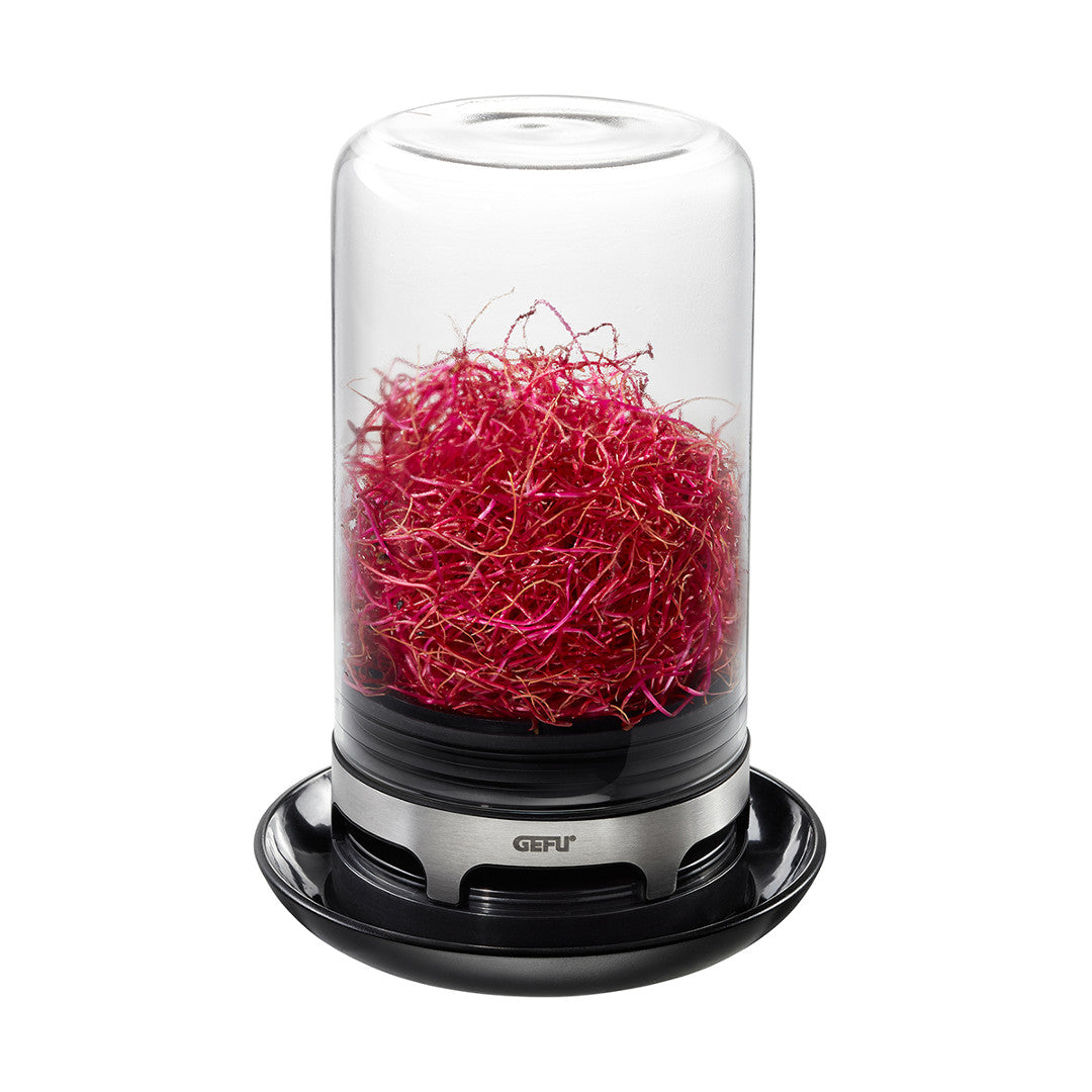 Trauks sēklu diedzēšanai GEFU BIVITA