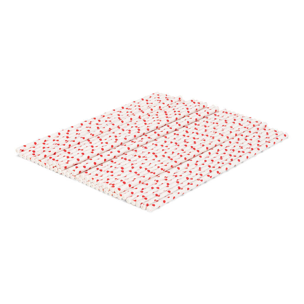 Cake Pop saldumu kociņi Patisse 15cm, 48gab.