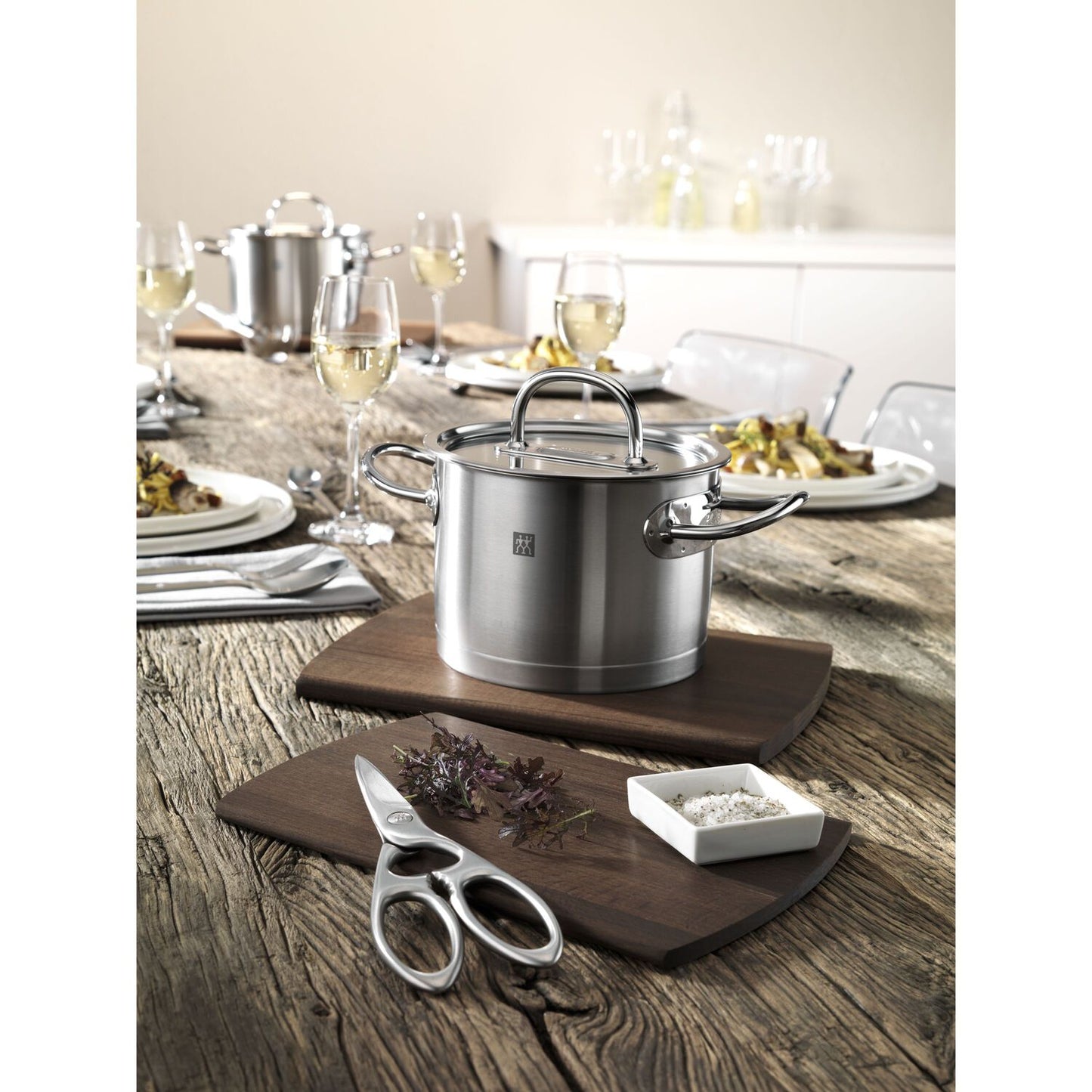 Daudzpusīgas šķēres ZWILLING TWIN SELECT 20 cm