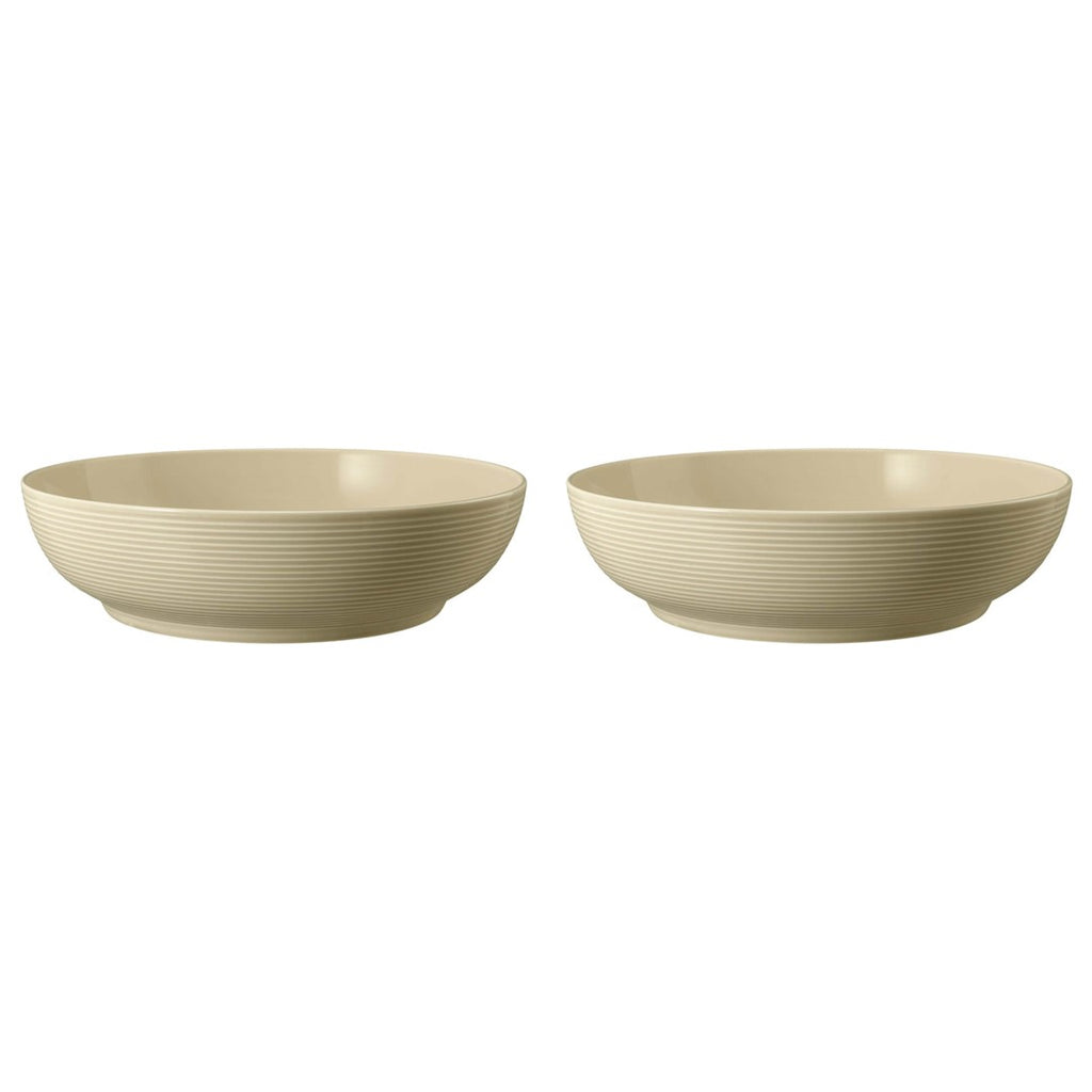 SELTMANN BEAT COLOR GLAZE Set of 2 bowls 25 cm