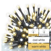 Virtene Zimassvētku CONN 100LED bez barošanas bloka 1.2W IP44 10m WW/CW FLASH D1AN02