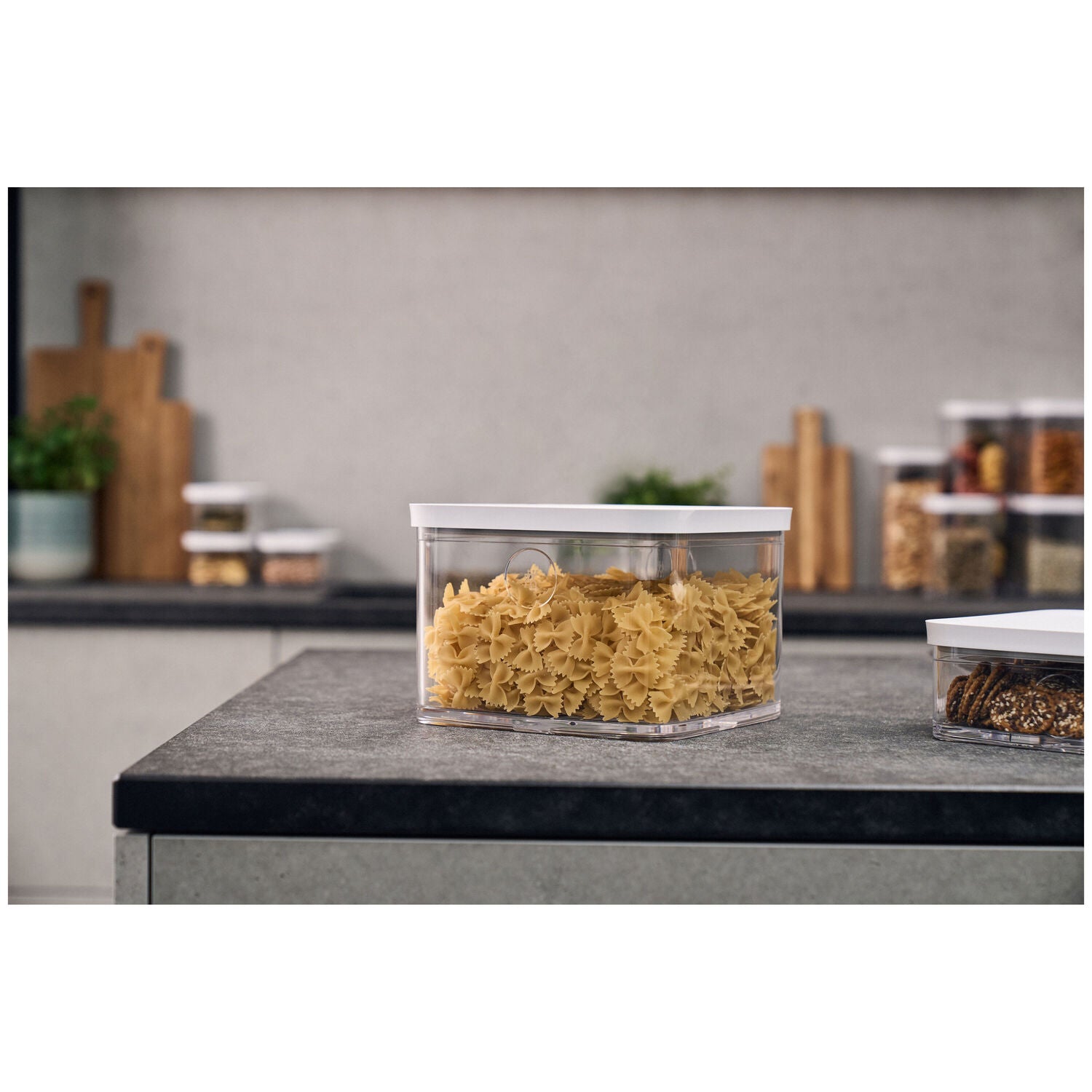 Vakuuma trauks 4.40L ZWILLING FRESH & SAVE Cube Box 2L