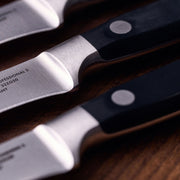 Steika nažu komplekts ZWILLING PROFESSIONAL S, 4gab.
