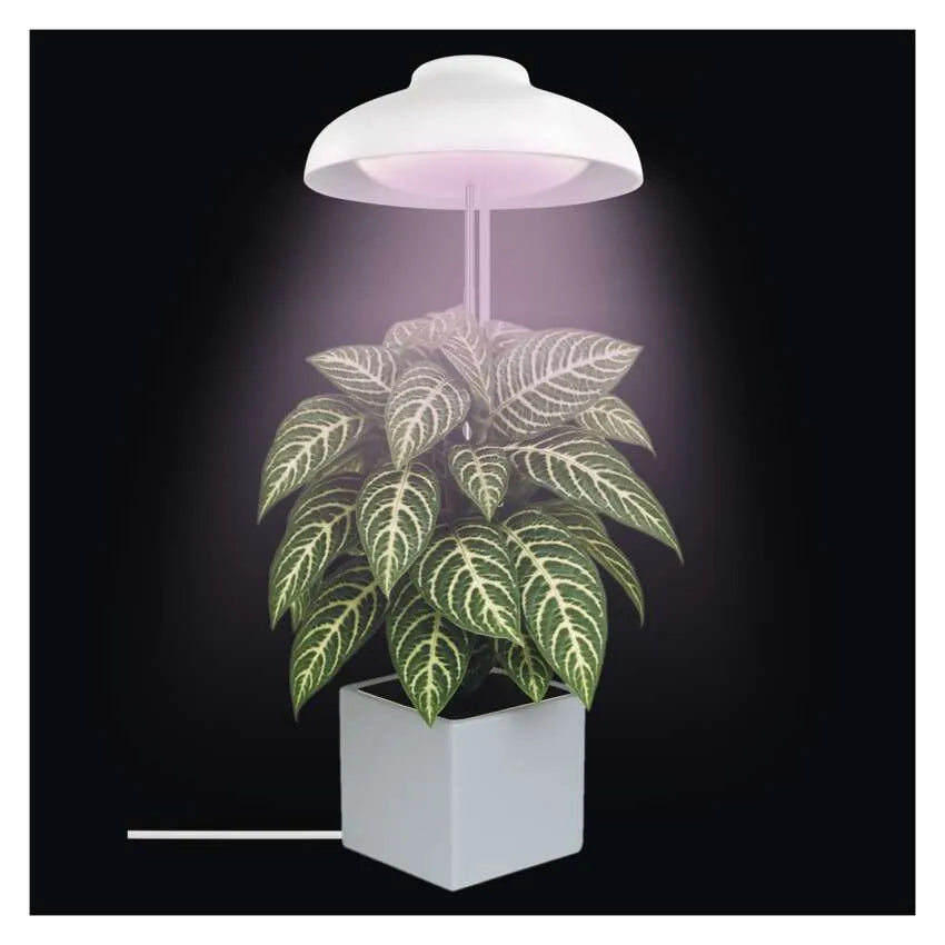 LED plant grow light with timer, full spectrum, 15 diodes, 5W 235lm EMOS