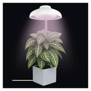 LED plant grow light with timer, full spectrum, 15 diodes, 5W 235lm EMOS