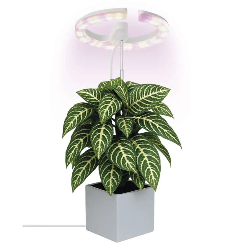 LED augu lampa ar taimeri un dimmeri, pilnspektra, 39 diodes, EMOS
