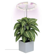 LED augu lampa ar taimeri un dimmeri, pilnspektra, 39 diodes, EMOS