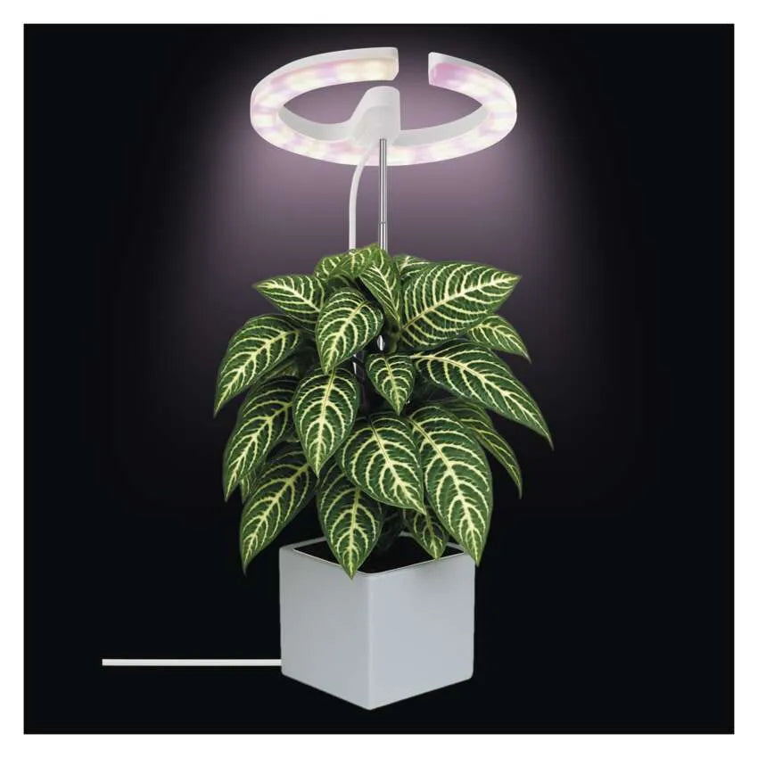 LED augu lampa ar taimeri un dimmeri, pilnspektra, 39 diodes, EMOS