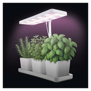 LED Plant Lamp with Timer and Dimmer, Full Spectrum, 30 Diodes 7W 300lm EMOS