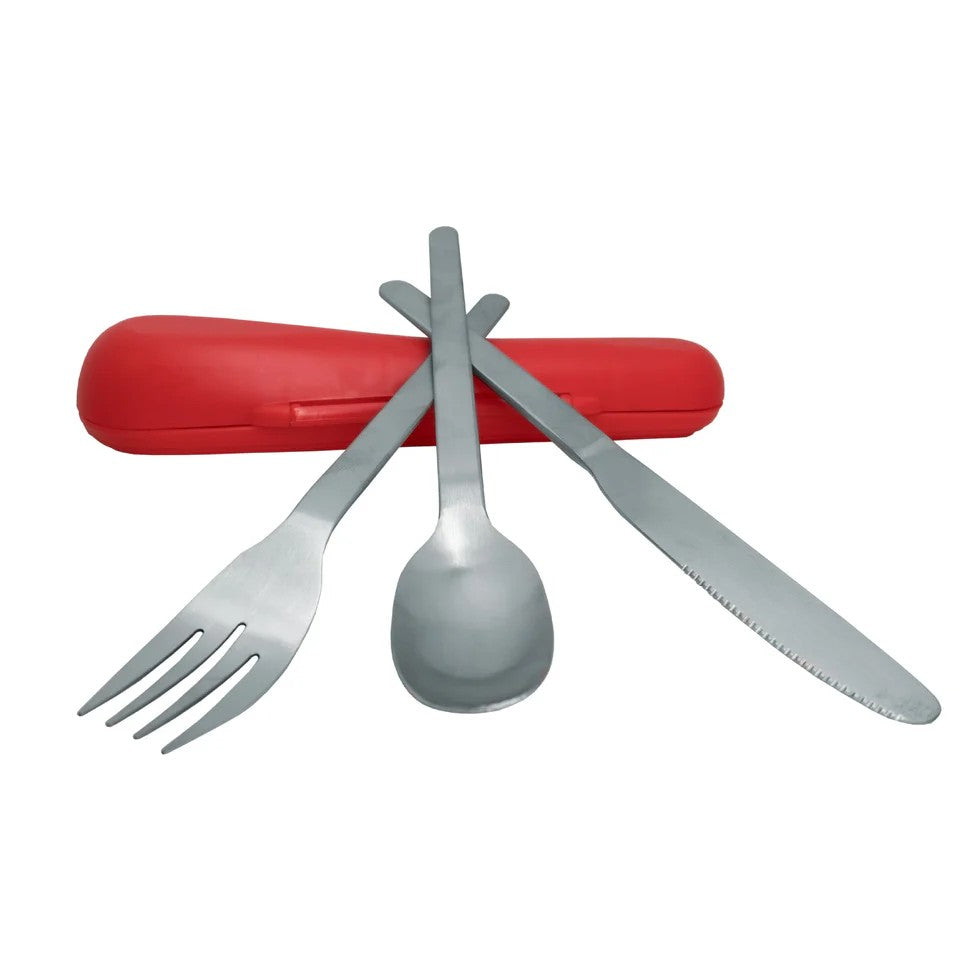 Stainless steel cutlery set with case