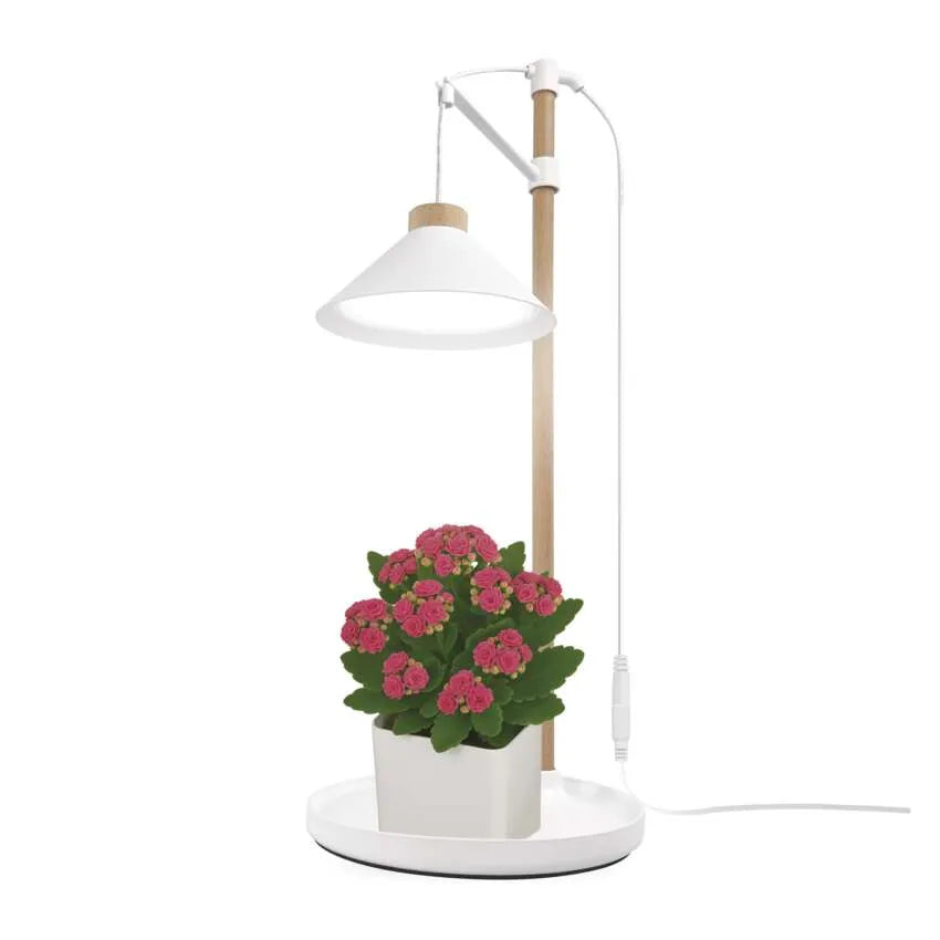 LED pilna spektra lampa augu audzēšanai ar taimeri, 21 diode, 7W 450lm EMOS