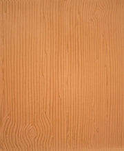 Trafarets rullējamai glazūrai 15 x 30,5cm PME Cake
