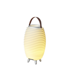 Kooduu Synergy 35 LED lampa ar skaļruni | Kilidi.lv