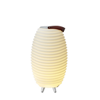 Kooduu Synergy 50 LED lampa ar skaļruni | Kilidi.lv
