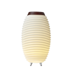 Kooduu Synergy 65 lampa ar skaļruni un vīna dzesētāju