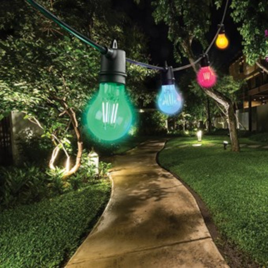 LED spuldze GLS A60 FILAMENT E27 4W 700lm IP54 Sylvania zaļa