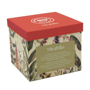 Mirabilia tējas komplekts Tea4One tējkanna ar tasi un apakštasi 300ml Rose & Tulipani, sarkans