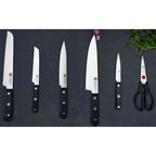 Nažu komplekts ZWILLING GOURMET pašuzasinošā statīvā, 7pr.